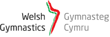 Gymnasteg Cymru